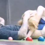 กลุ่มลับ Onlyfans เย็ดควยเสียวบนโต๊ะพลู โดนเย็ดกระแทกร่องหี